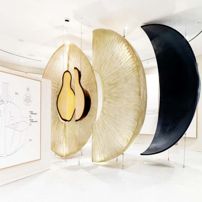 Porto: Taylors Port Cellar Tour & WOW The Wine Experience - Key Points