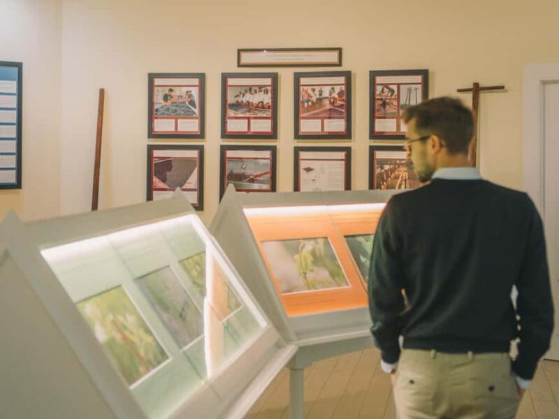 Porto: Taylors Port Cellar Tour & WOW The Wine Experience - Pacing, Accessibility, and Physical Considerations