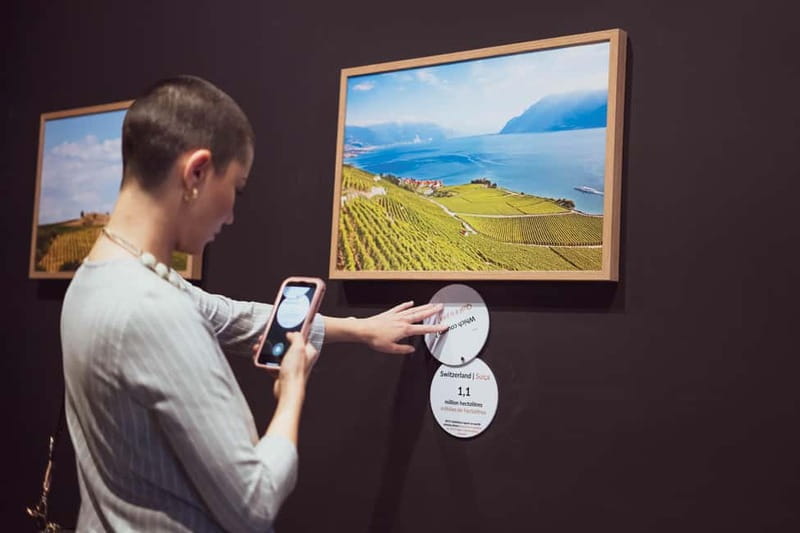 Porto: Taylors Port Cellar Tour & WOW The Wine Experience - What Sets This Tour Apart from Others