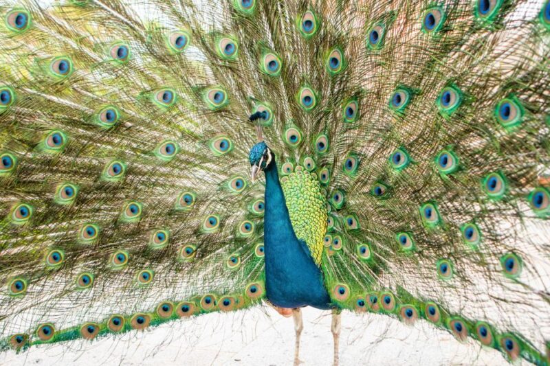 Porto: Taylor's Port Cellars & Tasting - The Garden and Terrace for the Port Tasting