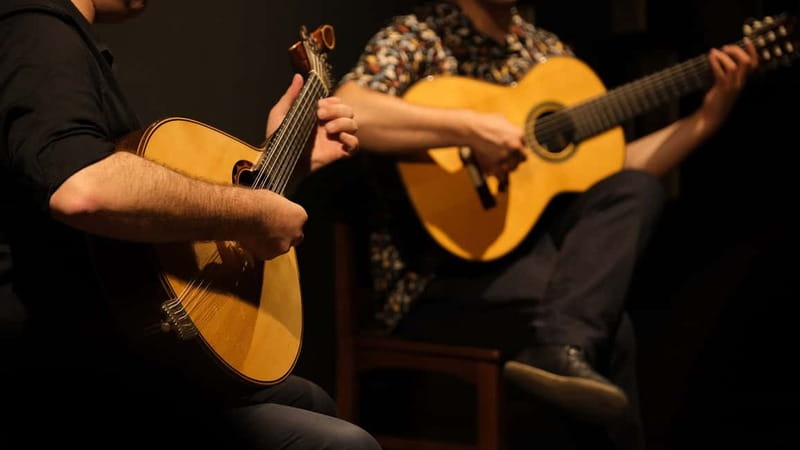 Porto: The highest-rated traditional fado concert (downtown) - The Passionate Performers of Fado