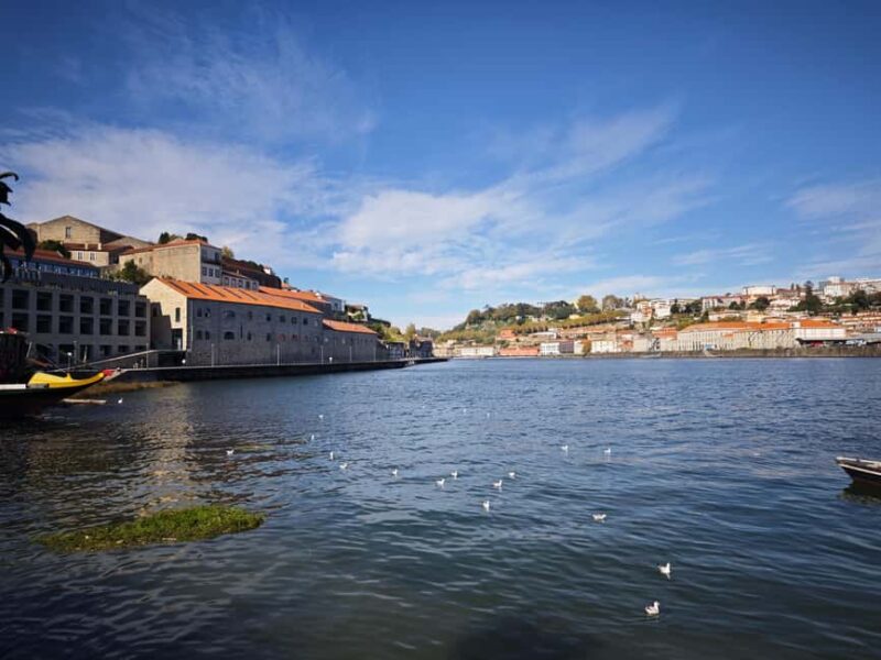 Porto: The Secret Sip - Alternative Wine Tour - Key Points