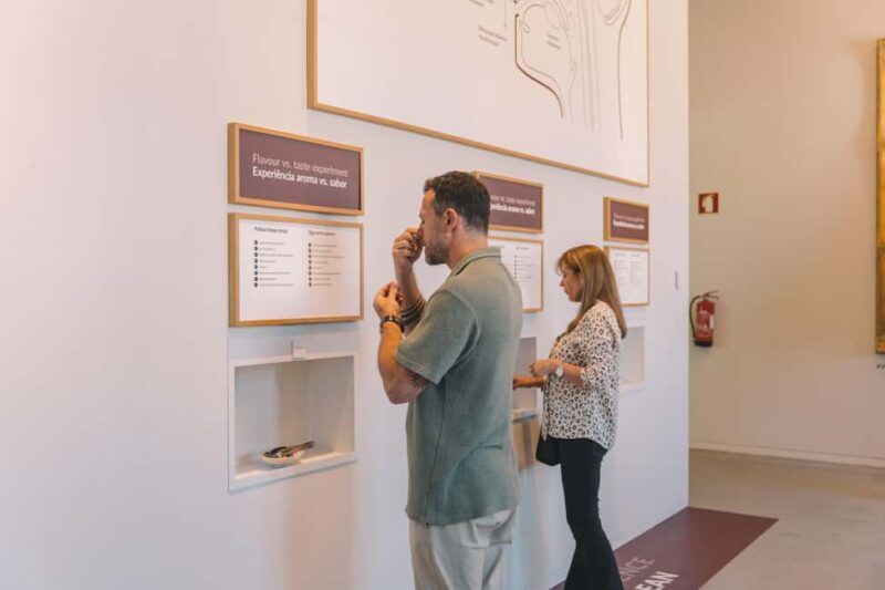 Porto: The Wine Experience, Best Wine Museum in the World - Discover the World’s Largest Wine Museum in Porto