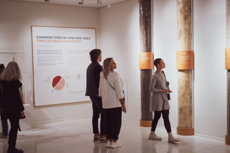 Porto: The Wine Experience, Best Wine Museum in the World - The WOW Complex and Additional Attractions