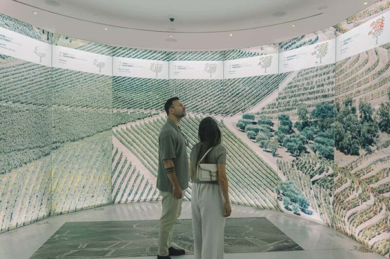 Porto: The Wine Experience, Best Wine Museum in the World - Final Thoughts on The Wine Experience in Porto