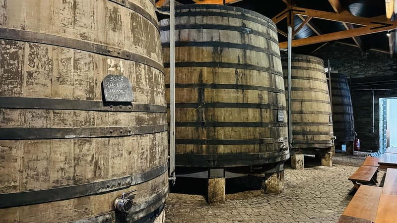 Porto to Gaia Experience: City Walk and Wine Cellars - Explore Porto and Gaia with a 4-Hour City Walk and Wine Cellar Tour