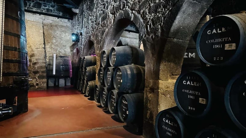 Porto to Gaia Experience: City Walk and Wine Cellars - Walking Through Porto’s Historic Streets and Iconic Landmarks