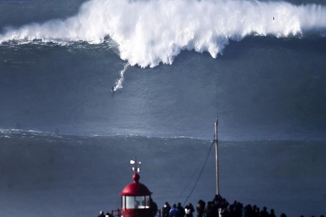 Porto to Lisbon up to 5 stops Aveiro Coimbra Fátima Nazaré Óbidos - Who Will Appreciate This Tour Most?