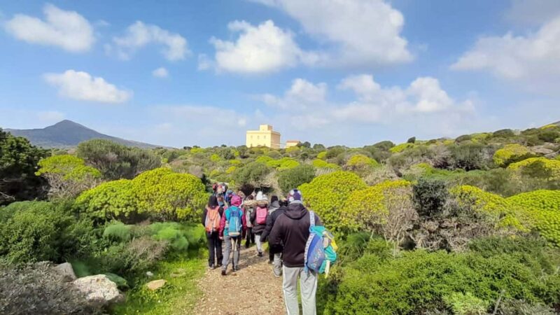 Porto Torres: Asinara Island Tour by Electric minivan - Visiting the Historic Prison Structures of Asinara