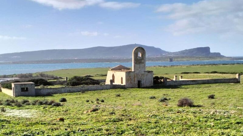 Porto Torres: Asinara Island Tour by Electric minivan - The Memory Observatory in Cala d’Oliva