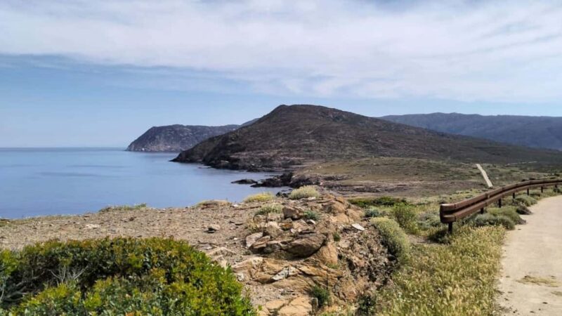 Porto Torres: Asinara Island Tour by Electric minivan - Comparing This Tour to Other Asinara Experiences