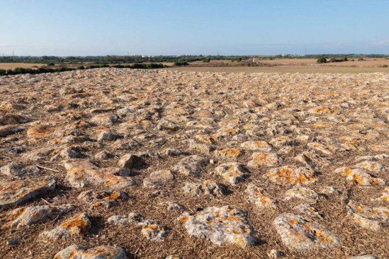 Porto Torres: Monte d'Accoddi & Su Crucifissu Mannu - Logistics and Group Size