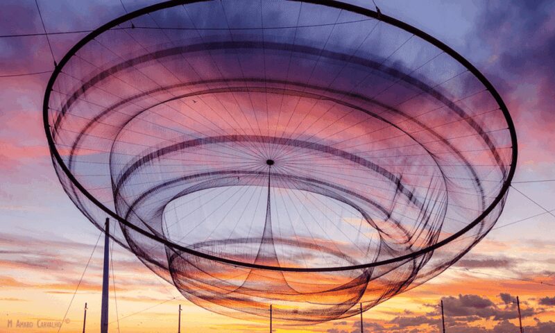 Porto Tour: One tour, a thousand stories by tuk tuk - 3 hours - The Clérigos Tower and Other Key Landmarks