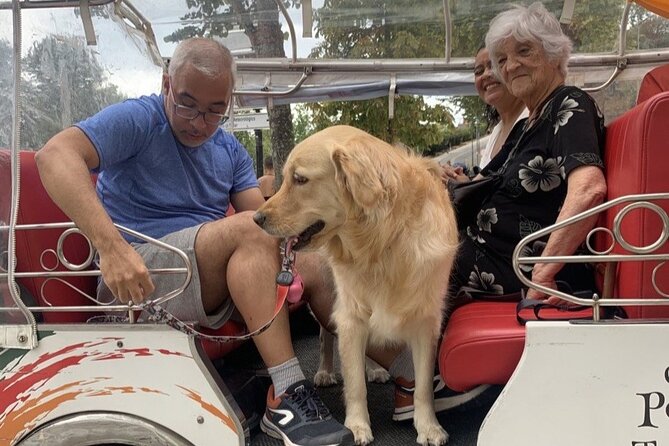 Porto: tuk tuk adventure tours old town 1h - Practical Details and Logistics