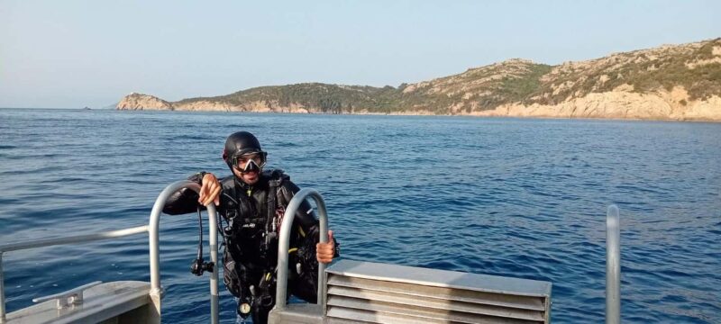 Porto-Vecchio: beginner diving in the Cerbicale Islands in the reserve - Discover the Charm of Porto-Vecchio’s Beginner Diving in the Cerbicale Islands