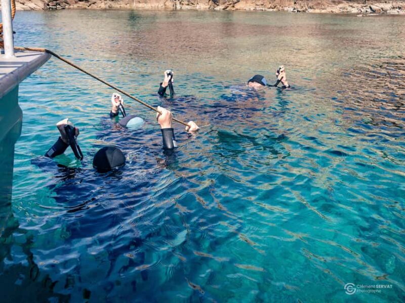 Porto-Vecchio: beginner diving in the Cerbicale Islands in the reserve - Key Points