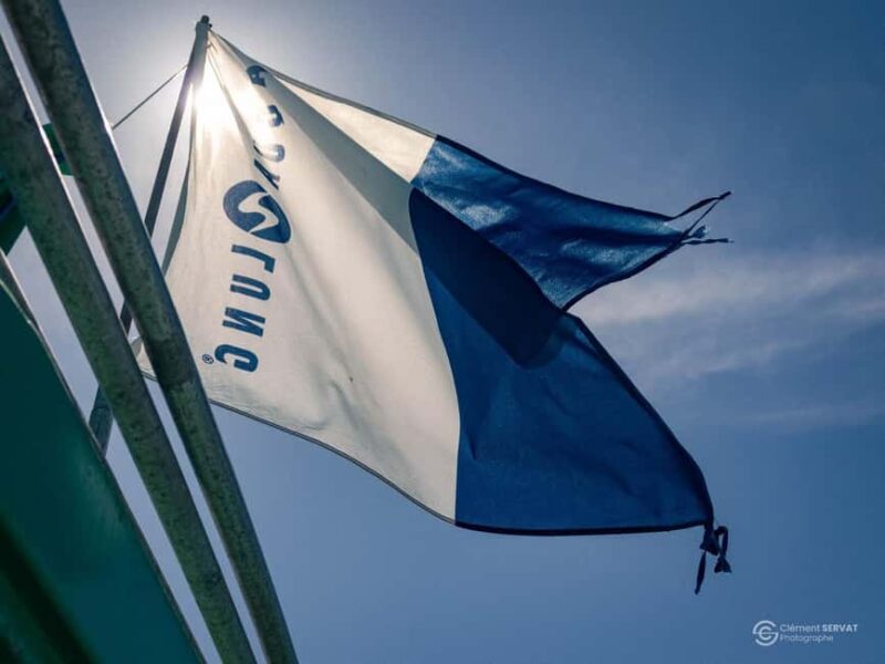 Porto-Vecchio: beginner diving in the Cerbicale Islands in the reserve - Exploring the Cerbicale Islands’ Underwater Wildlife