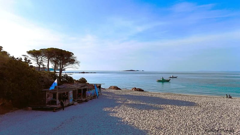 Porto-Vecchio: beginner diving in the Cerbicale Islands in the reserve - Customer Feedback and High Praise for Staff