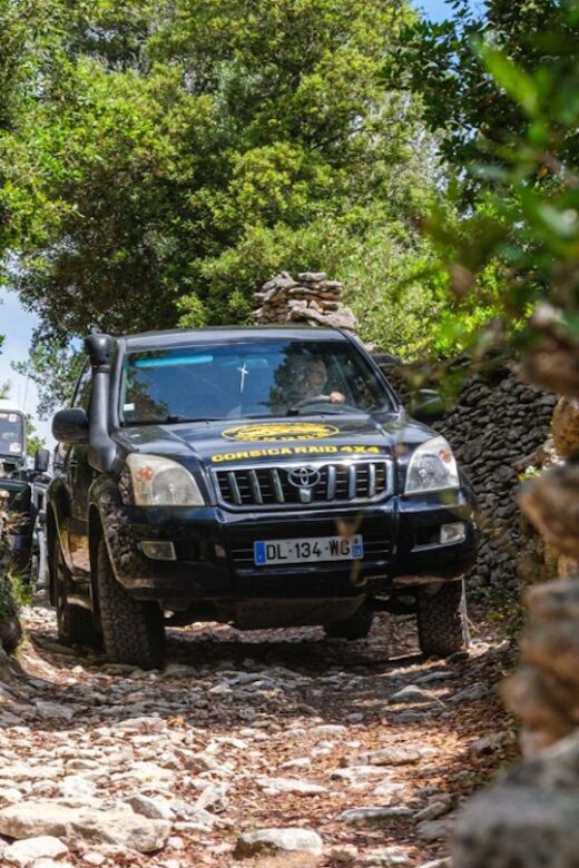 Porto Vecchio: Cuscionu Plateau & Alta Rocca 4x4 Tour - Discover Corsica with a 4x4 Adventure from Porto Vecchio