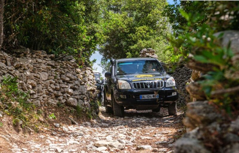 Porto Vecchio: Cuscionu Plateau & Alta Rocca 4x4 Tour - Encountering Corsican Flora and Fauna