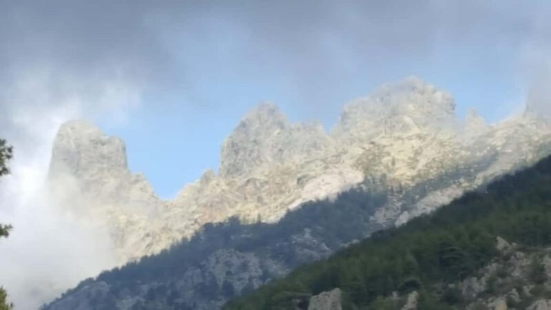 Porto Vecchio: Cuscionu Plateau & Alta Rocca 4x4 Tour - Practicalities: What to Bring and How to Prepare