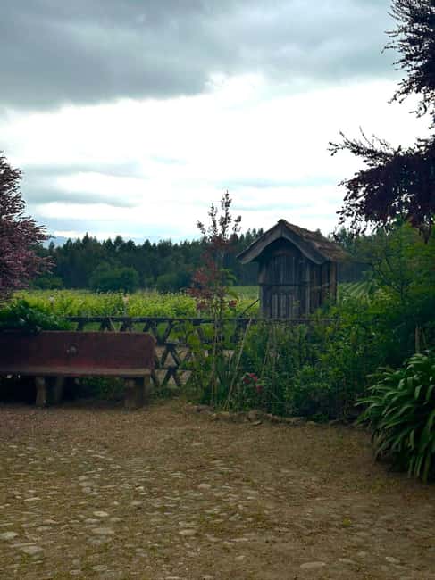 Porto: Vinho Verde Region Tour with 2 Wineries & Lunch - Discover the Charm of the Vinho Verde Region on a Full-Day Tour from Porto