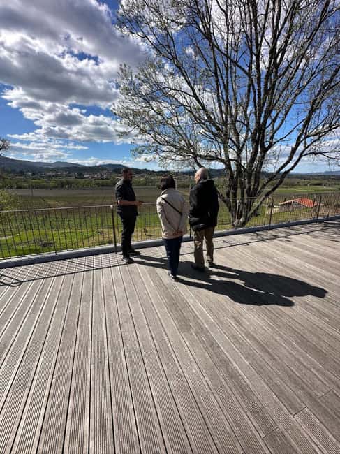 Porto: Vinho Verde Region Tour with 2 Wineries & Lunch - Savoring a Traditional Portuguese Lunch in Melgaço