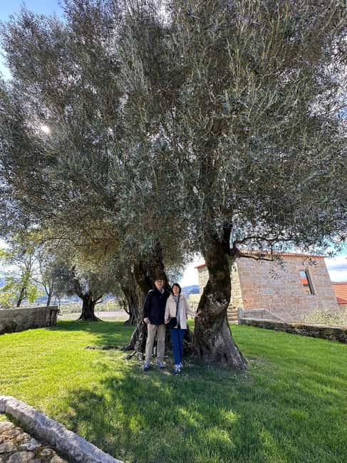 Porto: Vinho Verde Region Tour with 2 Wineries & Lunch - Visiting Monção: A Blend of Tradition and Innovation