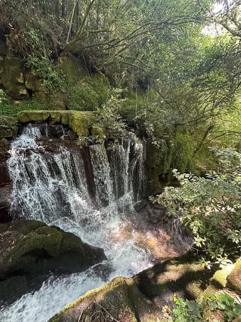 Porto: Vinho Verde Region Tour with 2 Wineries & Lunch - Return Journey and Drop-Off in Porto