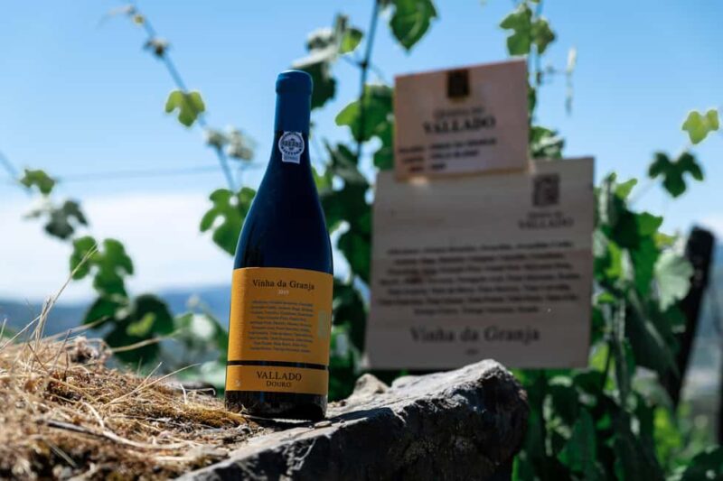 Porto: VR Tour with 4 Iconic Wines - Poente by Vallado - Discovering Quinta do Vallado Through Virtual Reality and Premium Wines