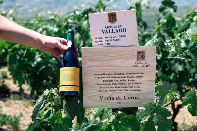 Porto: VR Tour with 4 Iconic Wines - Poente by Vallado - Behind the Scenes: The Virtual Reality Tour of Quinta do Vallado