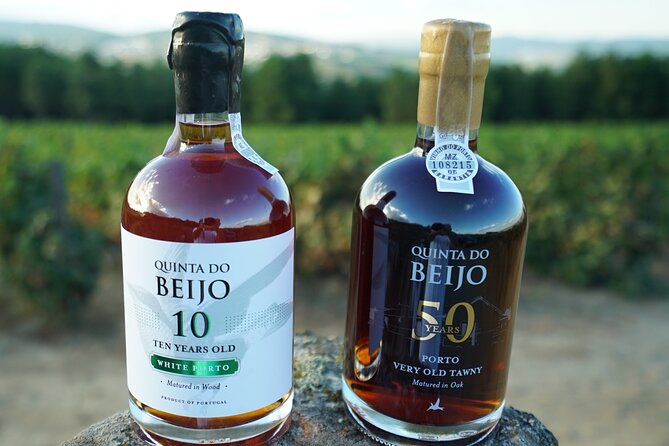 Porto Wine Tasting with GUIDED TOUR - Unique Tasting Features: A Glimpse into Port Wine Maturation