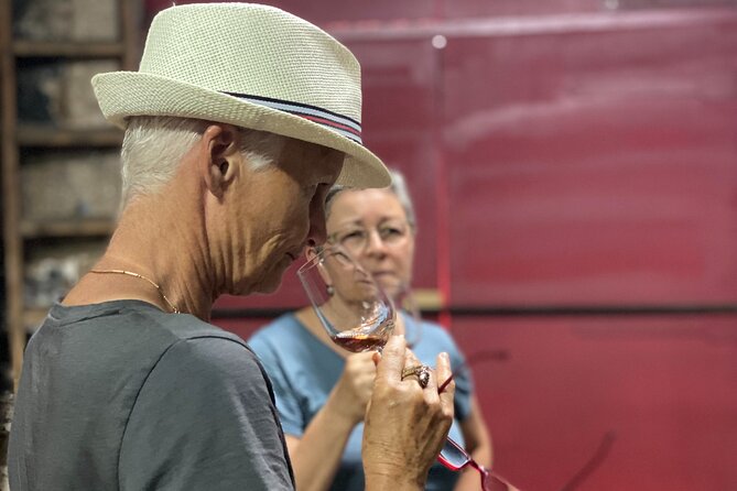 Porto Wine Tasting with GUIDED TOUR - The Guided Tour at Quinta do Beijo: Personalities and Insights