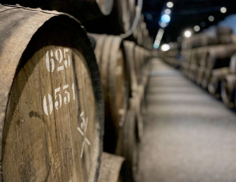 Porto: Wine Tasting with Tapas Walking Tour - The Quality of Guides and Guest Interaction