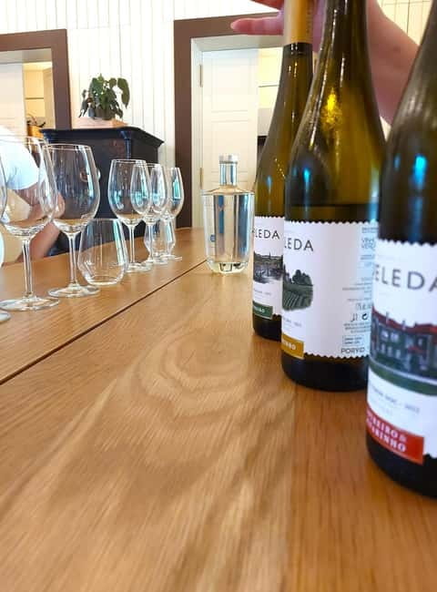 Porto: Wine Tastings (Green Wine) & Lunch & Porto Old Tour - Porto: Wine Tastings (Green Wine) & Lunch & Porto Old Tour – An Authentic Day Out