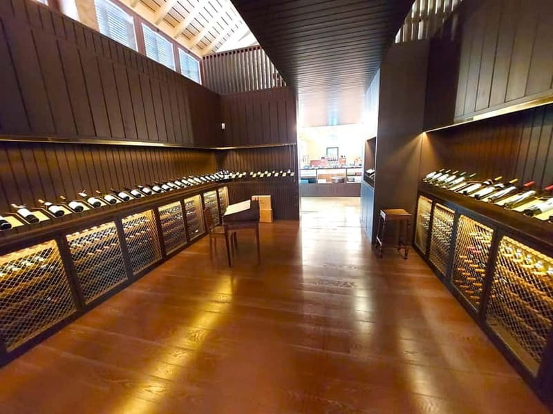 Porto: Wine Tastings (Green Wine) & Lunch & Porto Old Tour - The Itinerary and Highlights in Detail