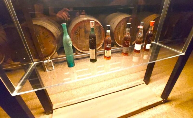 Porto: Wine Tastings (Green Wine) & Tradicional Lunch - Key Points