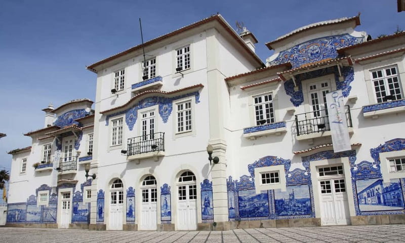 Porto:Aveiro, Cruise, Costa Nova & Capelha da Pedra Full Day - Logistics and Pacing of the Full-Day Trip