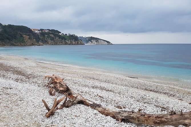 Portoferraio Walking Tour with Guide 2 Hours - Discover Forte Falcones Military Architecture and Underground Tunnels