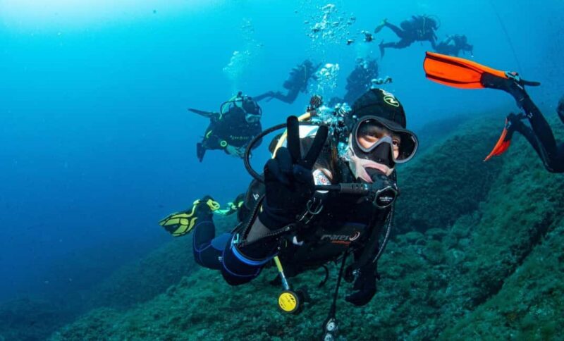 Portofino: scuba diving from Genoa - The Ride to Portofino: Spotting Dolphins and Scenery