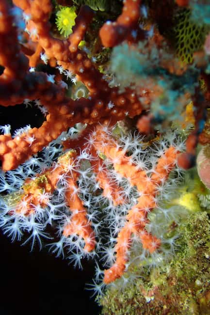 Portofino: scuba diving from Genoa - Post-Dive Refreshments and Facilities in Genoa