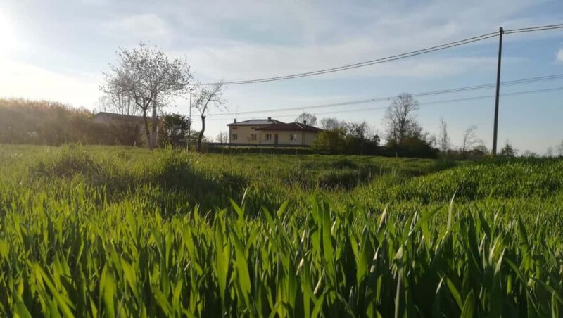 Portogruaro bike tour: the wild Tagliamento - Practical Details: Booking, Duration, and Group Size