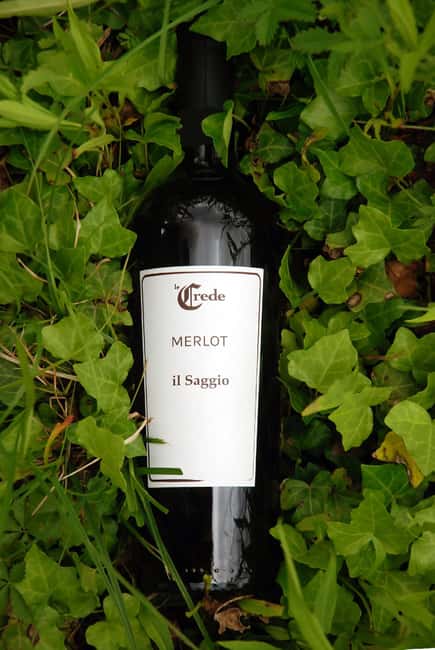 Portogruaro: Vineyard walk and tasting with Le Crede - The Value of an Authentic Agroecological Experience