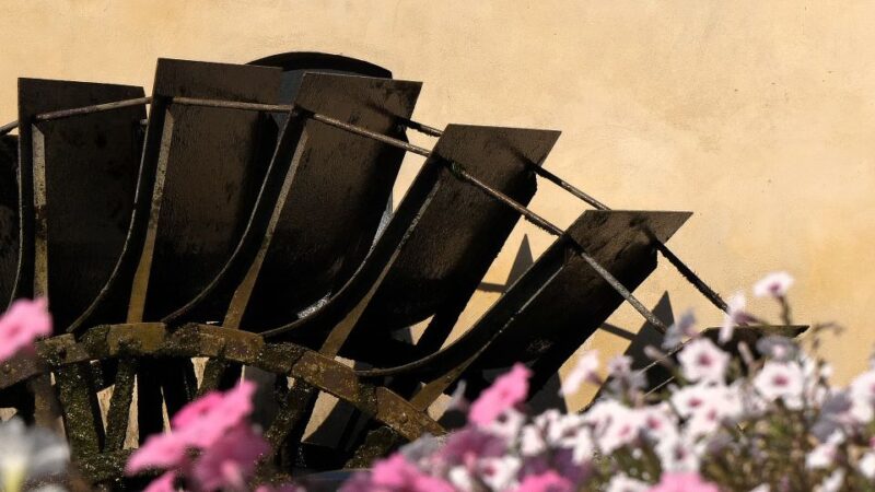 Portogruaro: Walking Tour With Local Guide - Practical Details: Accessibility, Cancellation, and Booking