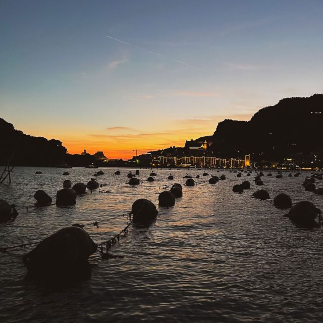 Portovenere: Palmaria Island & Lord Byron Cave Sunset Cruise - Key Points