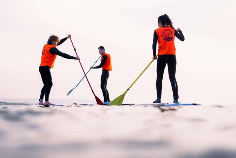 Portrush: Paddleboard Rental - Choosing Between Soft Top and Inflatable Paddleboards