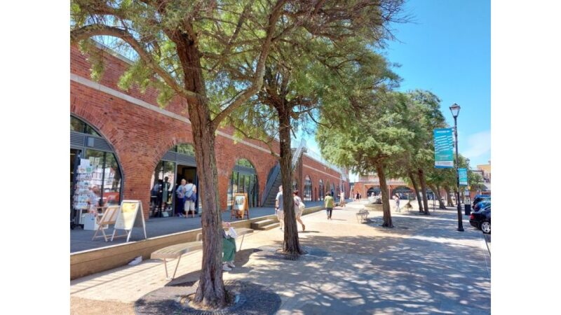 Portsmouth: Portsmouth of the Past Walking Tour - Starting Point at The Hard Interchange and Meeting Details