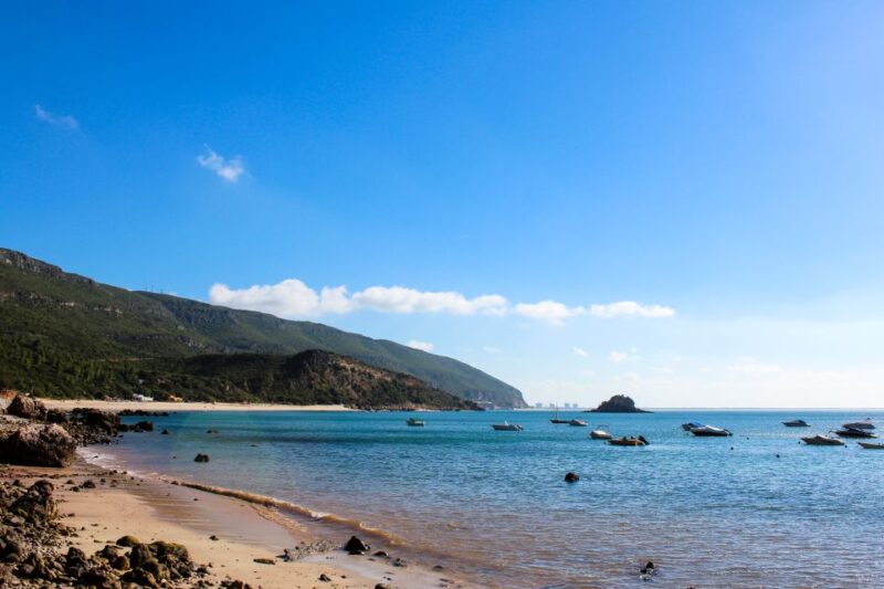 Portuguese Wine History & Amazing Landscape - Departure and Logistics: From Lisbon to the Portuguese Countryside