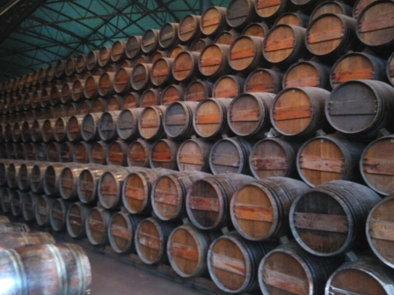 Portuguese Wine History & Amazing Landscape - Tasting the Best of Portugal at JMF Winery