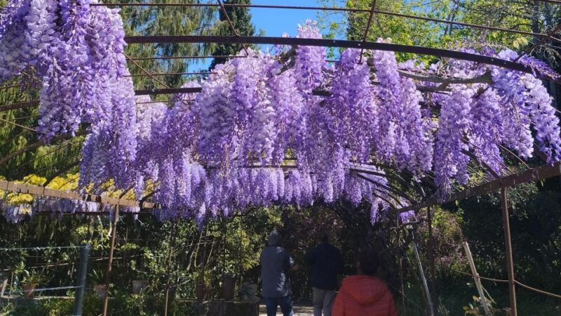 Portuguese Wine History & Amazing Landscape - Enjoying the Beaches of Arrábida National Park